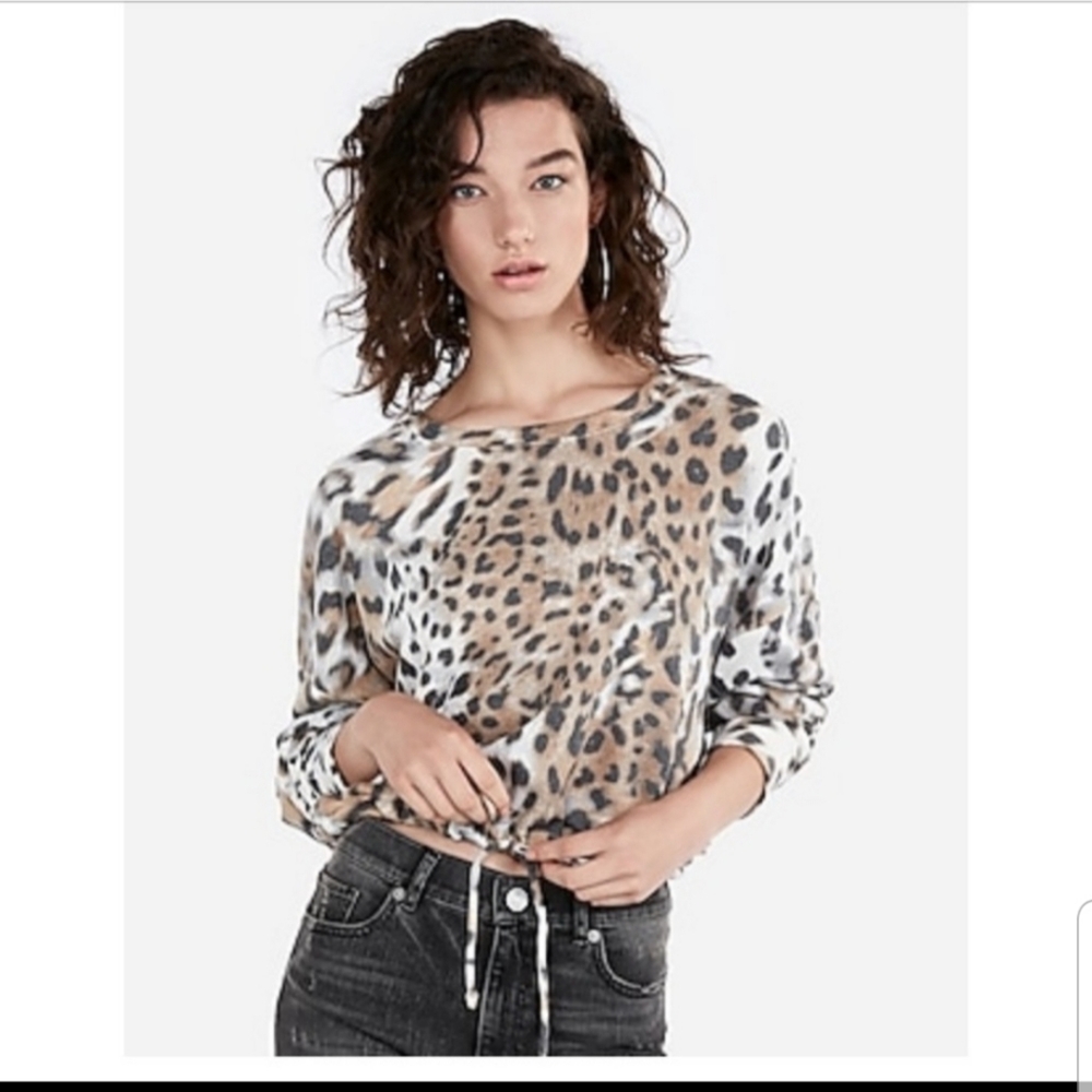 Express Crop Sweatshirt